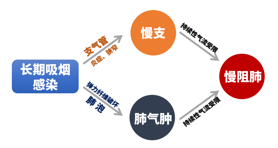 &#20061;&#24030;&#32593;&#39029;&#29256;&#45;&#20061;&#24030;&#40;&#20013;&#22269;&#41;&#45;&#20061;&#24030;&#40;&#20013;&#22269;&#41;