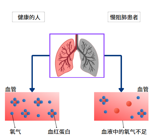 &#20061;&#24030;&#32593;&#39029;&#29256;&#45;&#20061;&#24030;&#40;&#20013;&#22269;&#41;&#45;&#20061;&#24030;&#40;&#20013;&#22269;&#41;